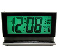 Elgin 2-Inch LCD Multifunction Display Alarm with Smartlite