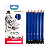 12 Sketching Pencils - Complete Professional Graphite Pencil Set for Sketch Drawing - 8B to 2H Art Travel Set for Adults and Kids - Shading Pencils, Drawing and Art Supplies, Sketching Set (12)