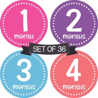 Baby Monthly Milestone Stickers for Girls Stickers - Baby Milestone Stickers Girl - Month Stickers for Baby Girl Stickers - Baby Month Stickers - Baby Girl Monthly Stickers - Baby Months Milestone