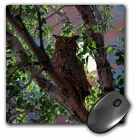 3dRose LLC 8 x 8 x 0.25 Inches Owl and The Moon Mouse Pad (mp_13678_1)