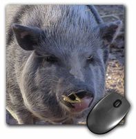 3D Rose"Pot Belly Pig" Matte Finish Mouse Pad - 8 x 8" - mp_21065_1