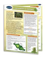 Cannabinoids and Terpenes Quick Reference Guide - Cannabis Educational Series by Permacharts