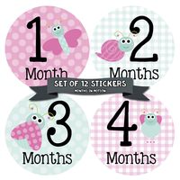 Months in Motion Baby Monthly Stickers - Baby Milestone Stickers - Newborn Girl Stickers - Month Stickers for Baby Girl - Baby Girl Stickers - Newborn Monthly Milestone - Pink Bugs - Style 317