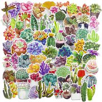Cute Plant Laptop Stickers for Girl, Succulents Cactus Waterproof Vinyl Water Bottle Computer Notebook Car Skateboard Motorcycle Bicycle Luggage Guitar Bike Decal 70pcs Pack