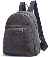 Unisex Canvas Backpack College School Backpack Casual Travel Backpack Laptop Backpack (Gray)
