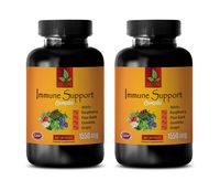 Anti inflammatory Supplement Joints - Immune Support Complex 1550 MG - Green Tea Extract Made in USA - 2 Bottles 120 Capsules
