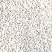 Midwest Hearth Natural Decorative White Bean Pebbles 1/5" Size (10-lb Bag)