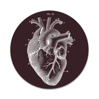 2X Sticker Set - Anatomical Heart - for Phone Grip Stent Cell Phones Tablets (Stickers Only)