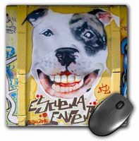 3dRose LLC 8 x 8 x 0.25 Valparaiso Chile Mural on Highway Retaining Wall Scott T. Smith Mouse Pad (mp_85960_1)