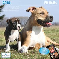 Little Gifts Pitbull 2015 Calendar (8117)