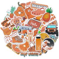 Roberly Cute VSCO Stickers for Water Bottles, 50 Pack Vinyl Trendy Aesthetic Waterproof Stickers for Laptop Skateboard Guitar Bike Travel Case Phone, Orange Stickers for Teens Girls (100% Vinyl)