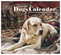 2019 Wall Calendar, Dogs Calendar