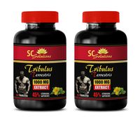 Testosterone Booster for Men Muscle Growth - TRIBULUS TERRESTRIS Extract 1000Mg - Tribulus Supplement - 2 Bottles 180 Tablets
