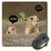3dRose LLC 8 X 8 X 0.25 Inches Groundhog I Saw My Shadow Mouse Pad (mp_27350_1)