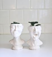 2 Face Planters