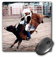 3dRose LLC 8 x 8 x 0.25 Inches Mouse Pad, Hang on Cowboy (mp_727_1)
