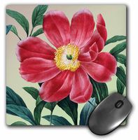 3dRose LLC 8 x 8 x 0.25 Vintage Red Peony Floral Flowers Mouse Pad (mp_79191_1)