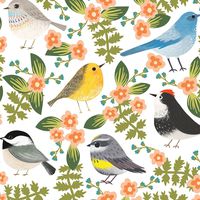 Jillson Roberts Bulk 240 Sheet-Count 20" x 30" Premium Printed Tissue Paper Available in 13 Designs, Birdies