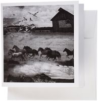 3dRose Wild Horses In Black n White - Greeting Cards, 6 x 6 inches, set of 12 (gc_29702_2)