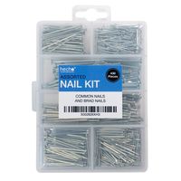 Assorted Nail Kit | 430 Piece Assortment with Brad and Common Nails