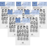 Business Source Magnetic Clip, Silver (58506BD)