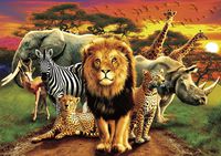 Buffalo Games - Amazing Nature Collection - African Beasts - 500 Piece Jigsaw Puzzle