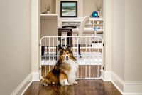 Carlson Pet Products Tuffy Metal Expandable Pet Gate, Includes Small Pet Door