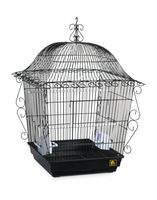 Prevue Pet Products Jumbo Scrollwork Bird Cage 220BLK Black, 18-Inch by 18-Inch by 25-Inch