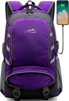 Backpack Bookbag for School Student College Business Travel with USB Charging Port Fit Laptop Up to 15.6 Inch Night Light Reflective Anti Theft (Purple)