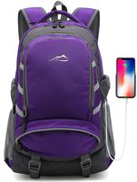 Backpack for School College Student Travel Business Bookbag with USB Charging Port Fit 15.6 inch Laptop Night Light Reflective Chest Luggage Straps (Purple)
