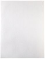 Compulabel Circular Labels for Laser and Inkjet Printers, 2 1/2-Inch Diameter, Permanent Adhesive, 12 per Sheet, 250 Sheets per Carton (330557)