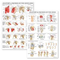 2 Pack - Anatomy and Injuries of The Knee & Shoulder Poster Set - Anatomical Chart Set - Laminated 18" x 27"