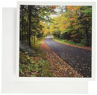 3dRose New York, Adirondack Mountains. Autumn, Path - US33 BJA0022 - Jaynes Gallery - Greeting Cards, 6 x 6 inches, set of 12 (gc_93041_2)
