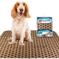 Simple Solution Large Washable Puppy Pad | Reusable Dog Pee Pad | Absorbent and Odor Controlling | 30x32 Inches, 2 Count
