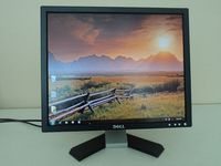 19" Dell E196FPb LCD Monitor (Black)