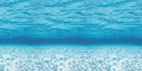 Fadeless Bulletin Board Art Paper, Under The Sea, 48" x 12', 1 Roll