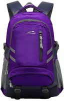 Backpack Bookbag For School Student College Business Travel with USB Charging Port Fit Laptop Up to 15.6 Inch Night Light Reflective Anti theft (Purple)