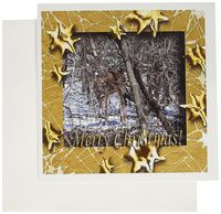 3dRose Curious Deer Gold Star Design Merry Christmas - Greeting Cards, 6 x 6 inches, set of 6 (gc_26921_1)