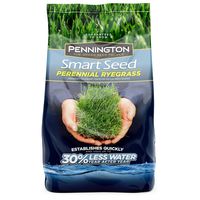 Pennington Smart Perennial Rye Grass Seed, 3 lb