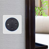 Vail Amp - in Wall Flush Mount Stereo 60Watt Amplifier for Amazon Echo Dot (2nd Gen)