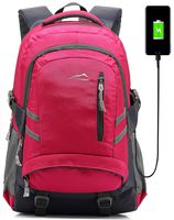 Backpack Bookbag for School College Student Sturdy Travel Business Laptop Compartment with USB Charging Port Luggage Chest Straps Night Light Reflective (Pink)