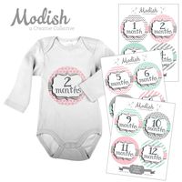 12 Monthly Baby Stickers, Pink, Gray, Mint, Girl, Baby Belly Stickers, Baby Month Stickers, First Year Stickers Months 1-12, Pink, Gray, Mint, Baby Girl