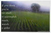 Youth Change Workshops Self-Esteem, Motivational Inspirational Poster & gt (Poster #588)