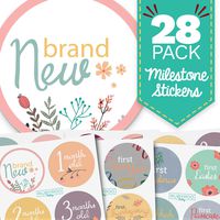 Baby Month & Milestone Stickers - 28 Pack - Baby Girl Onesie Belly Stickers. Includes 12 Monthly, 1st Year milestones & First Holidays. Perfect Baby Shower & Newborn Birthday Gift. (Floral)