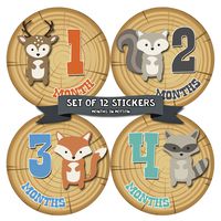 Months In Motion Monthly Baby Milestone Stickers for Boy - Onesie Month Sticker - Infant Photo Prop for First Year - Shower Gift - Newborn Keepsakes - Woodland Animals (Style 809)