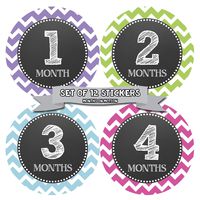 Months In Motion Monthly Baby Milestone Stickers for Girl - Onesie Month Sticker - Infant Photo Prop for First Year - Shower Gift - Newborn Keepsakes (Style 071)