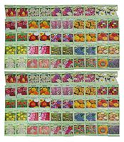 Set of 100 Assorted Valley Green Flower Seed Packets! Flower Seeds in Bulk - 20+ Varieties Included