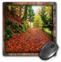 3dRose LLC 8 x 8 x 0.25 Inches Mouse Pad, Painted Autumn Forest (mp_34097_1)