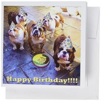 3dRose English Bulldog Birthday - Greeting Cards, 6 x 6 inches, set of 12 (gc_39567_2)