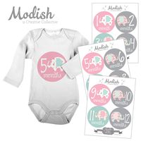 Modish - Creative Collective 12 Monthly Baby Stickers, Elephants, Baby Girl, Elephant Baby Belly Stickers, Elephant Monthly Onesie Stickers, First Year Stickers Months 1-12, Pink/Grey/Teal